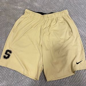 Men’s Nike Dryfit Shorts